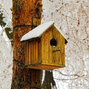 birdhouse on tree with snow on the roof