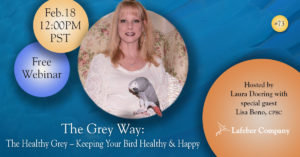 banner for webinar about keeping African greys and other parrots healthy and happy