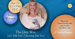 banner for webinar about choosing safe bird toys