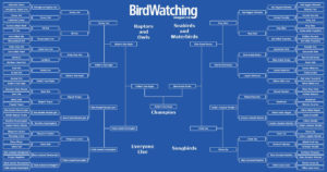 diagram of Bird Watching Magazine's bracket contest
