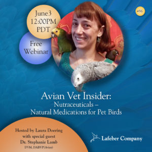 banner for webinar about nutraceuticals for pet birds