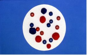 red balls, blue ball, read beads, blue beads lay on a tray