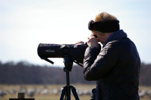 birder, birding