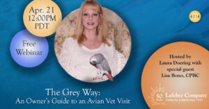 Webinar: The Grey Way—An Owner’s Guide to an Avian Vet Visit