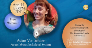 Webinar: Avian Vet Insider— The Avian Musculoskeletal System