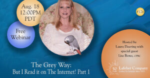 Webinar: The Grey Way — But I Read It on the Internet! Part 1