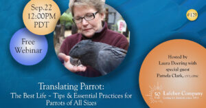 Translating Parrot: The Best Life - Tips & Essential Practices for Parrots of All Sizes