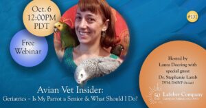 Webinar: Avian Vet Insider: Geriatrics - Is My Parrot a Senior & What Should I Do?