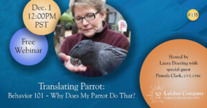 Webinar: Translating Parrot: Behavior 101 - Why Does My Parrot Do That?