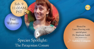 Webinar: Species Spotlight On The Patagonian Conure With Dr. Lamb