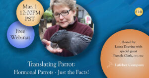 Webinar: Translating Parrot: Hormonal Parrots - Just the Facts!