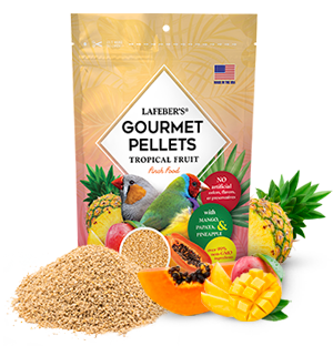 Finch Food