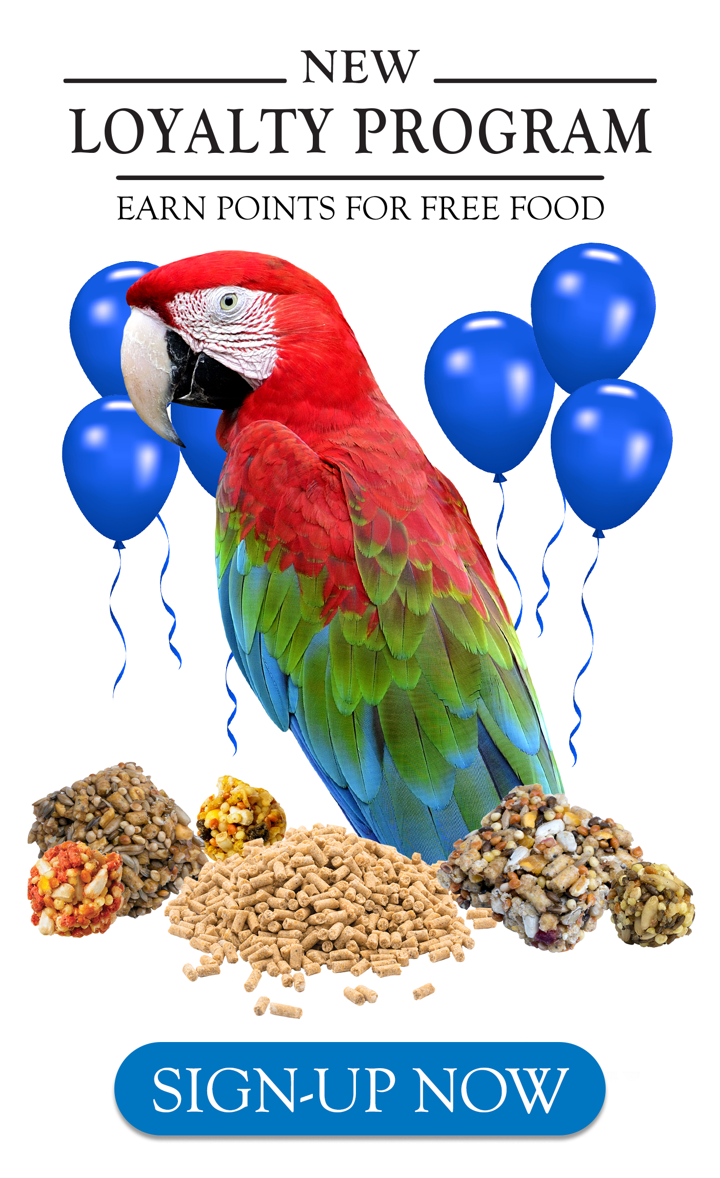 Macaw Personality Food Care Pet Birds by Lafeber Co