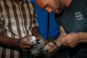 vet administering care to parrot
