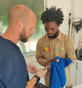 vet training