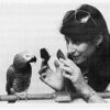 African grey parrot and Dr. Pepperberg
