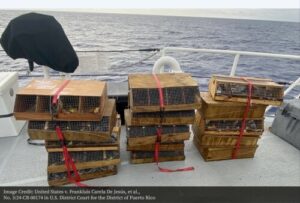 drowned parrots in crates