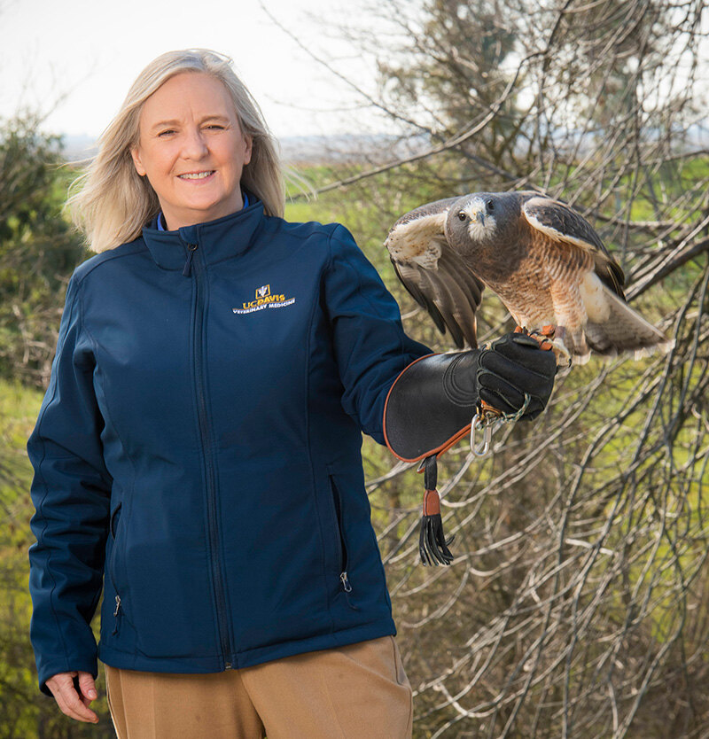 Dr. Michelle Hawkins and raptor