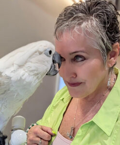 cockatoo
