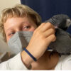 person pets african grey parrot perched on shoulder