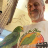 Amazon parrot perches on man wearing t-shirt of the bird