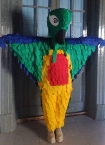 person-patagonian-conure-costume