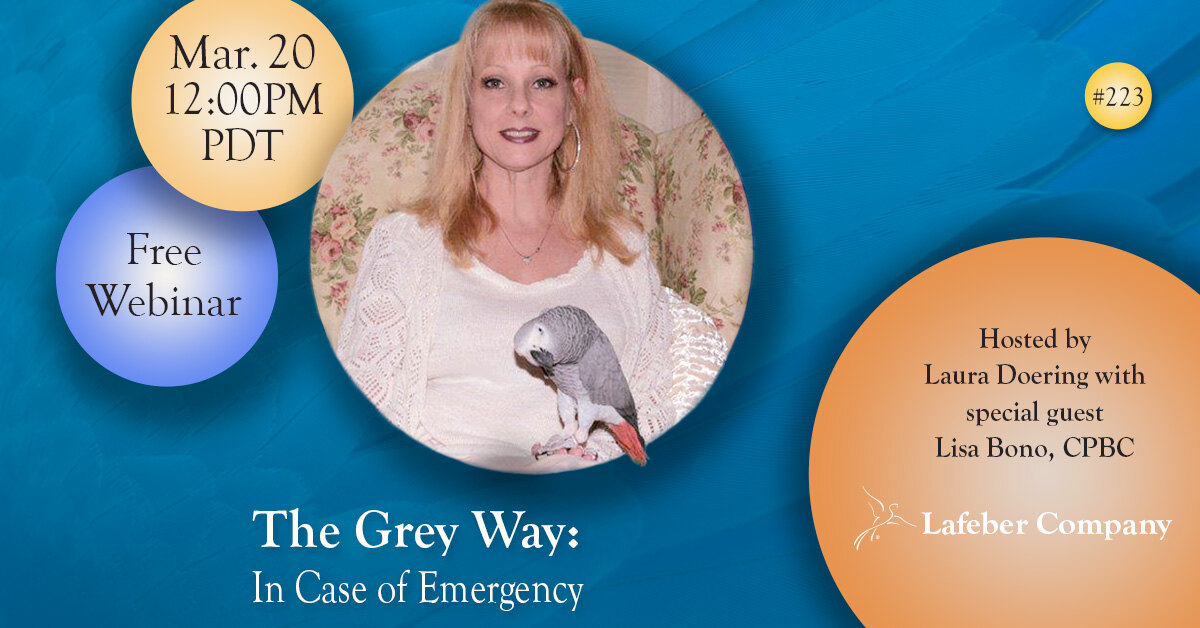 Webinar: The Grey Way — In Case Of Emergency