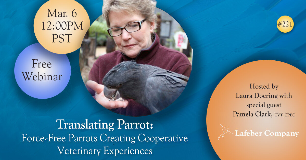 Webinar: Force-Free Parrots: Creating Cooperative Veterinary Experiences