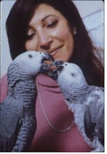 greys-parrots-with-dr-pepperberg