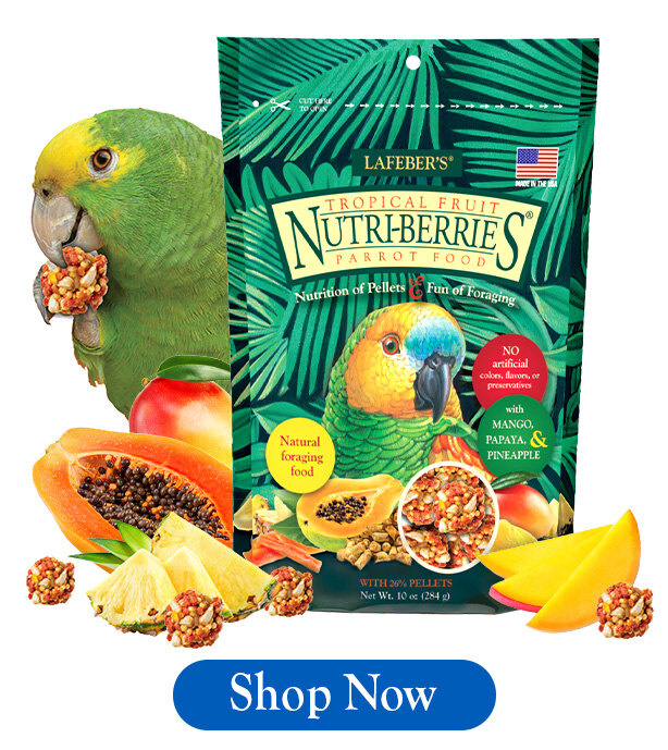 Tropical Nutri-Berries