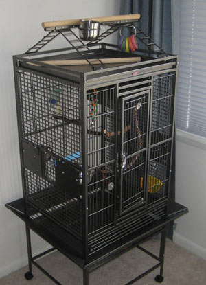 pet bird cages