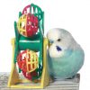 budgie and toy, parakeet and toy, blue budgie, blue parakeet