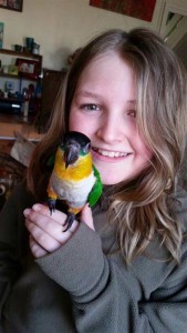 boy with long hair wearing long-sleeved gray shirt holds a caique in hand indoors