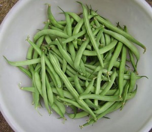 FrenchGreenBeans