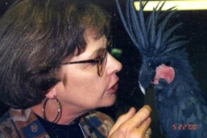 Liz with black Palm Cockatoo