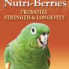 Senior Nutri-berries