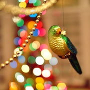 A bird ornament hanging from a Christmas tree