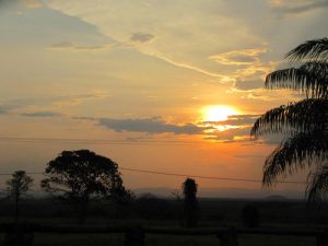 sunset-on-the-Pantanal_by_Susan_Orosz