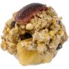 Rat nutri-berrie
