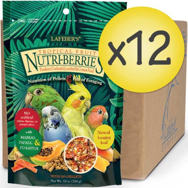 82640-cockatiel-tropicalfruit-nb-case-front-web-0222