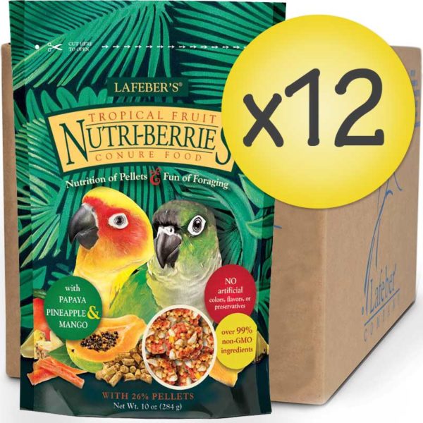 82645C-conure-tropical-fruit-nutri-berries-10oz-case-front-image-web-0222