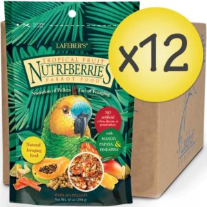 82650-parrot-tropicalfruit-nb-case-front-web-0222
