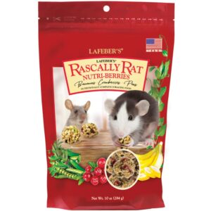 Rascally Rat