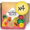 Case of 4 Canary Tropical Fruit Gourmet Pellets 4 lbs