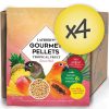 Case of 4 Conure Tropical Fruit Gourmet Pellets 4 lbs