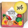 Case of 4 Macaw Tropical Fruit Gourmet Pellets 4 lbs