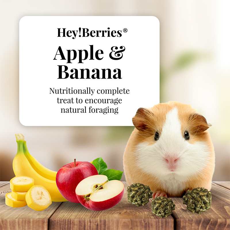 Hey!Berries Apple and Banana for Guinea Pigs 5 oz – Pet Shop