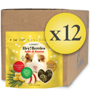 Case of 12 Hey!Berries Apple and Banana for Guinea Pigs 5 oz