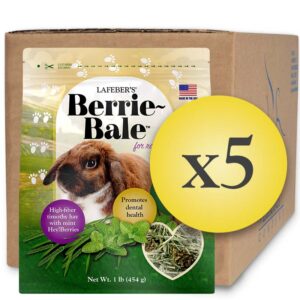 Case of 5 Berrie-Bale Mint for Rabbits 1 lb