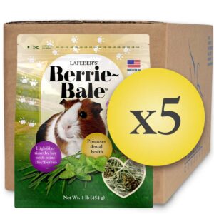 Case of 5 Berrie-Bale Mint for Guinea Pigs 1 lb